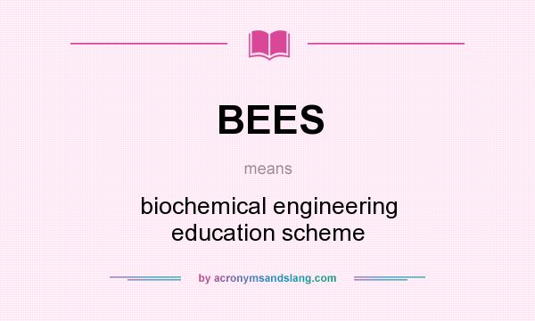 What does BEES mean? It stands for biochemical engineering education scheme