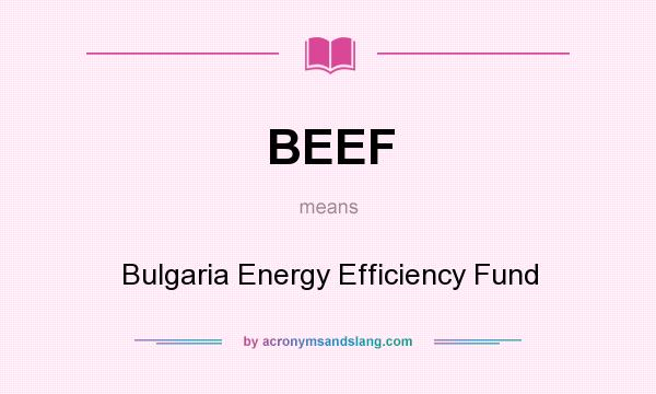 What does BEEF mean? It stands for Bulgaria Energy Efficiency Fund
