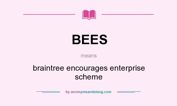 What does BEES mean? It stands for braintree encourages enterprise scheme