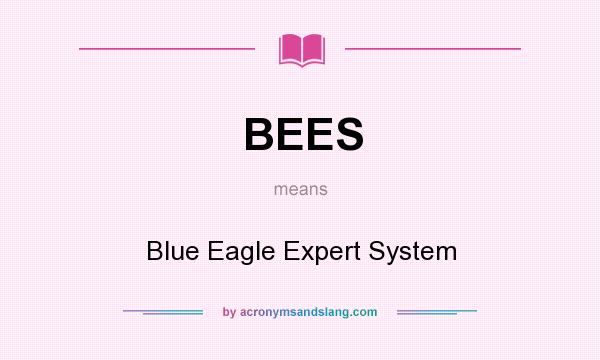 What does BEES mean? It stands for Blue Eagle Expert System