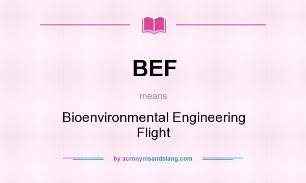 What does BEF mean? It stands for Bioenvironmental Engineering Flight