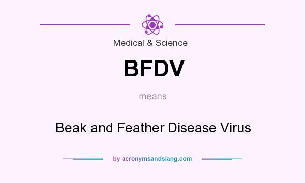 What does BFDV mean? It stands for Beak and Feather Disease Virus