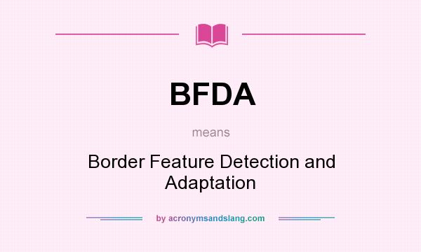 What does BFDA mean? It stands for Border Feature Detection and Adaptation