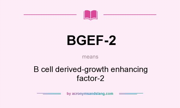 What does BGEF-2 mean? It stands for B cell derived-growth enhancing factor-2