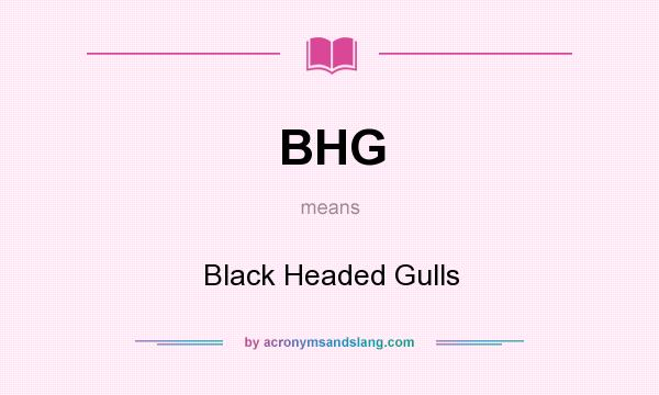 What does BHG mean? It stands for Black Headed Gulls
