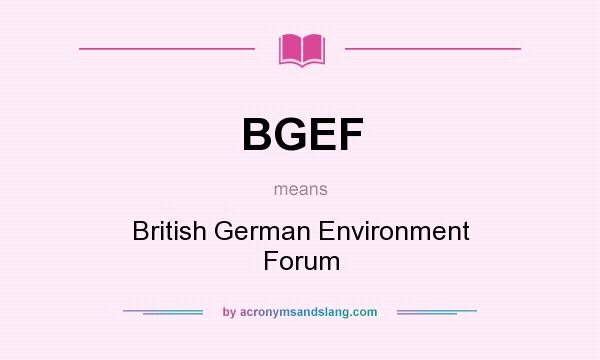 What does BGEF mean? It stands for British German Environment Forum
