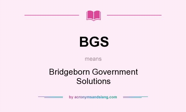 What does BGS mean? It stands for Bridgeborn Government Solutions