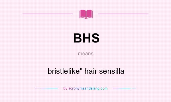 What does BHS mean? It stands for bristlelike hair sensilla
