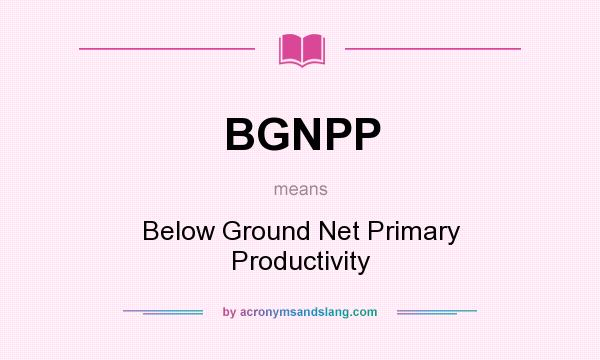 What does BGNPP mean? It stands for Below Ground Net Primary Productivity