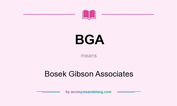 What does BGA mean? It stands for Bosek Gibson Associates