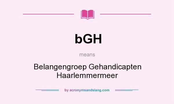 What does bGH mean? It stands for Belangengroep Gehandicapten Haarlemmermeer