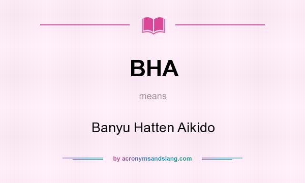 What does BHA mean? It stands for Banyu Hatten Aikido