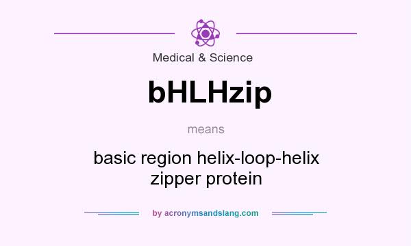 What does bHLHzip mean? It stands for basic region helix-loop-helix zipper protein
