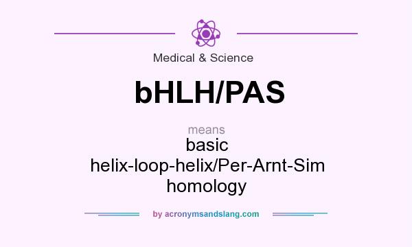 What does bHLH/PAS mean? It stands for basic helix-loop-helix/Per-Arnt-Sim homology