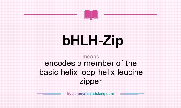 What does bHLH-Zip mean? It stands for encodes a member of the basic-helix-loop-helix-leucine zipper