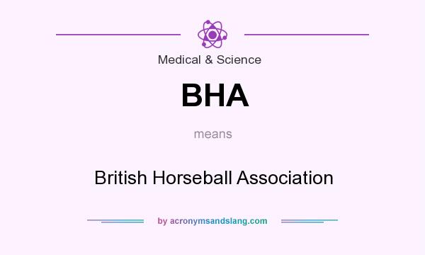 What does BHA mean? It stands for British Horseball Association