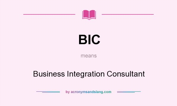 What does BIC mean? It stands for Business Integration Consultant