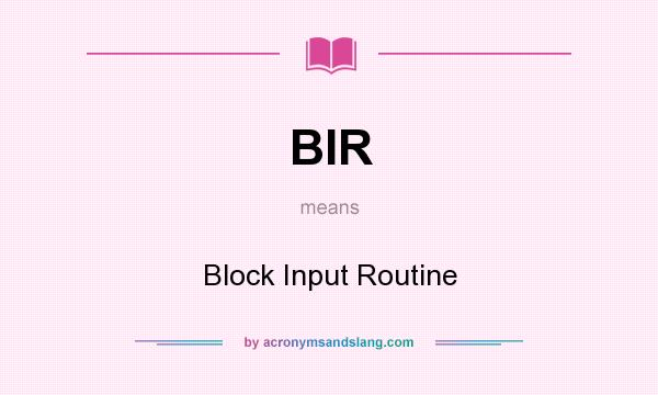 What does BIR mean? It stands for Block Input Routine