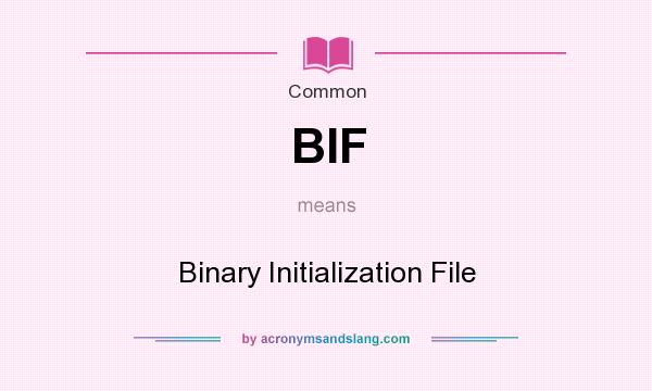 What does BIF mean? It stands for Binary Initialization File