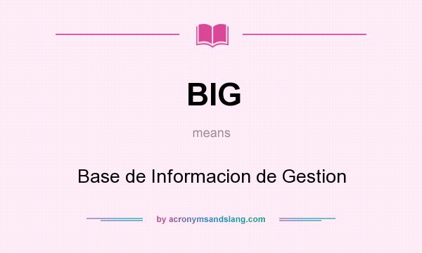 What does BIG mean? It stands for Base de Informacion de Gestion