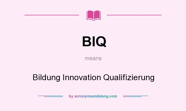 What does BIQ mean? It stands for Bildung Innovation Qualifizierung