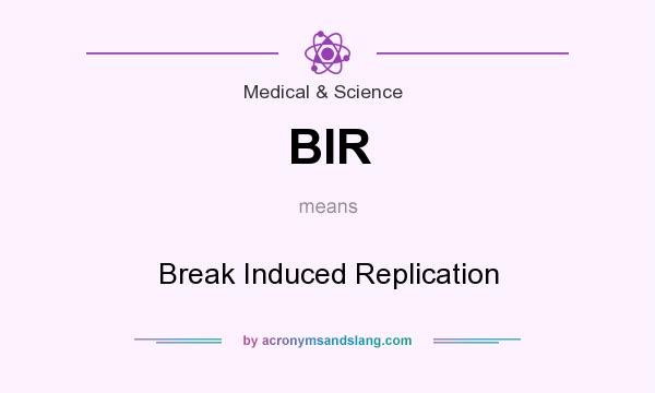 What does BIR mean? It stands for Break Induced Replication