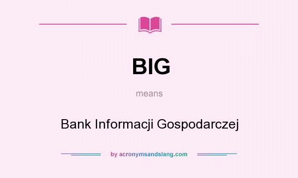 What does BIG mean? It stands for Bank Informacji Gospodarczej
