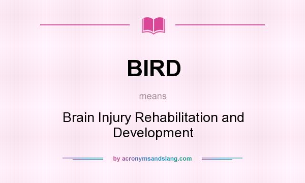 What does BIRD mean? It stands for Brain Injury Rehabilitation and Development