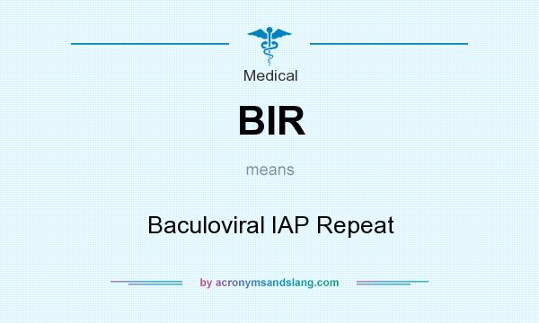 What does BIR mean? It stands for Baculoviral IAP Repeat