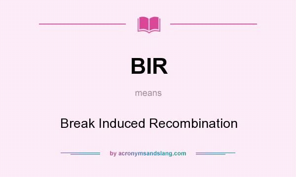 What does BIR mean? It stands for Break Induced Recombination