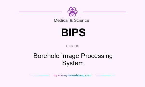 What does BIPS mean? It stands for Borehole Image Processing System