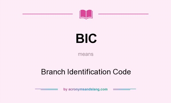 What does BIC mean? It stands for Branch Identification Code