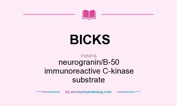 What does BICKS mean? It stands for neurogranin/B-50 immunoreactive C-kinase substrate