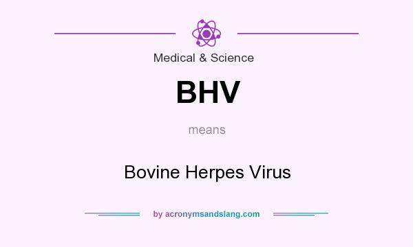 What does BHV mean? It stands for Bovine Herpes Virus
