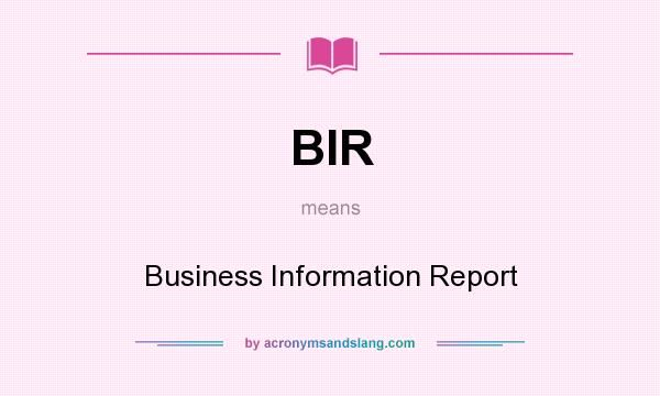 What does BIR mean? It stands for Business Information Report