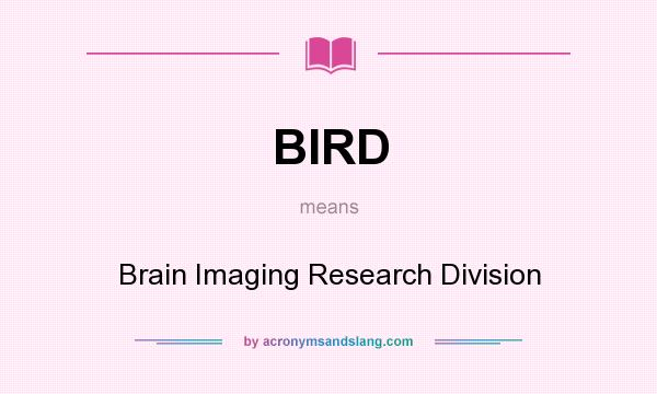 What does BIRD mean? It stands for Brain Imaging Research Division