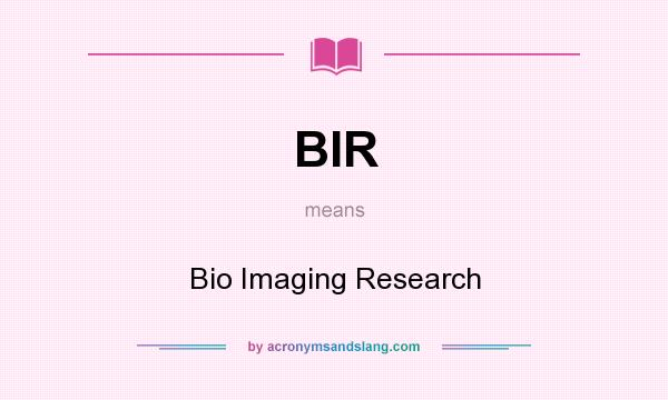 What does BIR mean? It stands for Bio Imaging Research