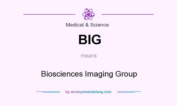 What does BIG mean? It stands for Biosciences Imaging Group