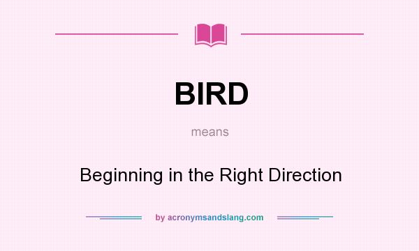 What does BIRD mean? It stands for Beginning in the Right Direction