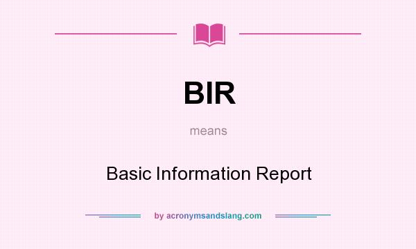 What does BIR mean? It stands for Basic Information Report