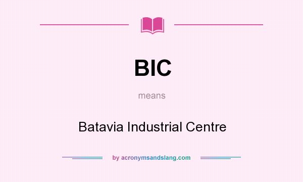 What does BIC mean? It stands for Batavia Industrial Centre