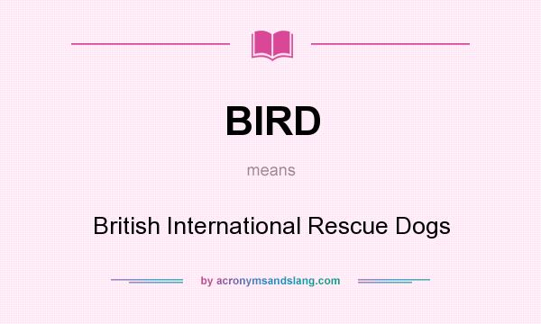 What does BIRD mean? It stands for British International Rescue Dogs