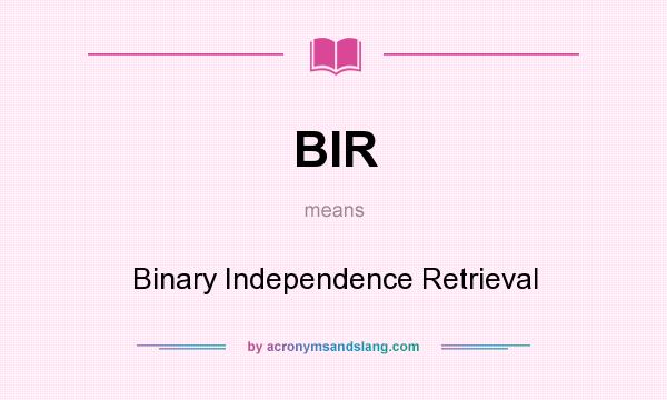 What does BIR mean? It stands for Binary Independence Retrieval