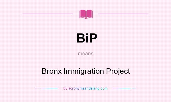 What does BiP mean? It stands for Bronx Immigration Project