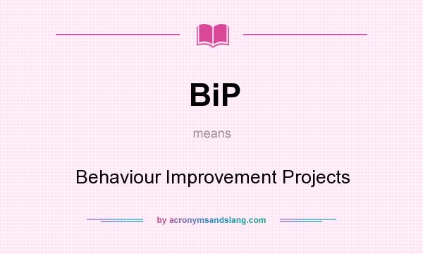 What does BiP mean? It stands for Behaviour Improvement Projects