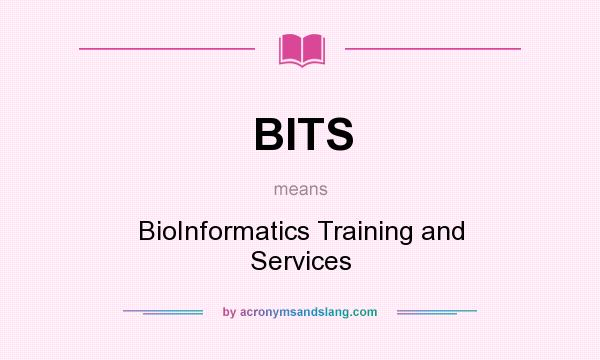 What does BITS mean? It stands for BioInformatics Training and Services