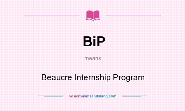 What does BiP mean? It stands for Beaucre Internship Program