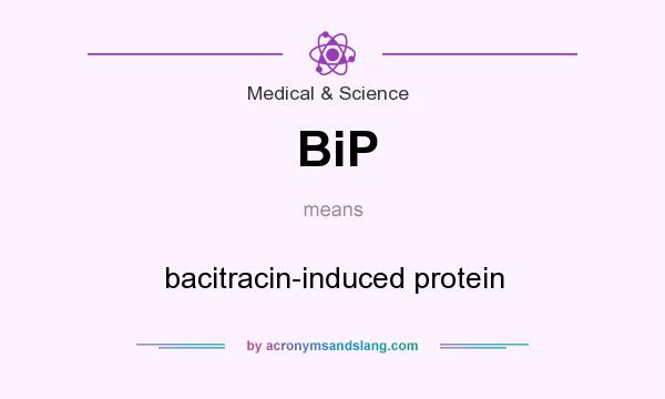 What does BiP mean? It stands for bacitracin-induced protein