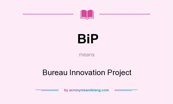 What does BiP mean? It stands for Bureau Innovation Project