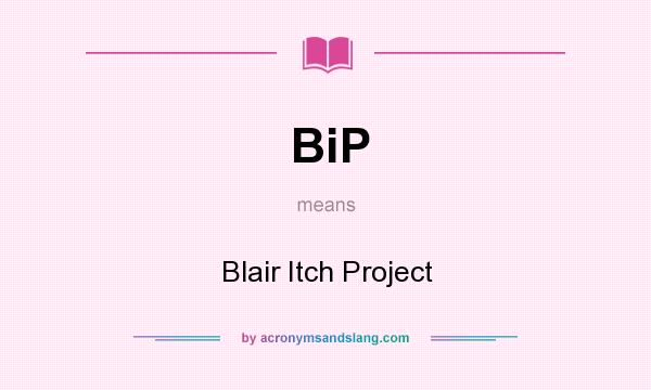 What does BiP mean? It stands for Blair Itch Project
